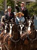 The Devon Horse Show & Country Fair - May 21 to May 31, 2015